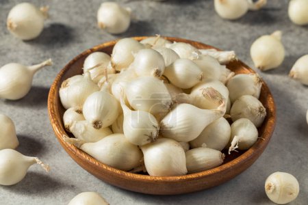 Cebollas perlas orgánicas blancas crudas en un racimo