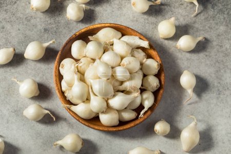 Téléchargez les photos : Oignons de perles biologiques blancs crus en grappe - en image libre de droit