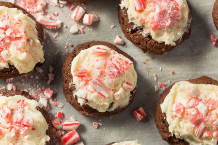 Téléchargez les photos : Biscuits maison au chocolat à la menthe poivrée et à la canne à sucre pour Noël - en image libre de droit
