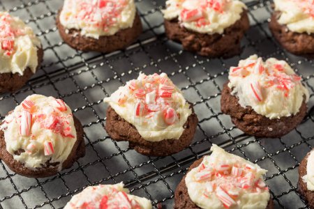 Téléchargez les photos : Biscuits maison au chocolat à la menthe poivrée et à la canne à sucre pour Noël - en image libre de droit