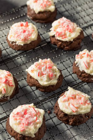 Photo for Homemade Peppermint Candycane Chocolate Cookies for Christmas - Royalty Free Image