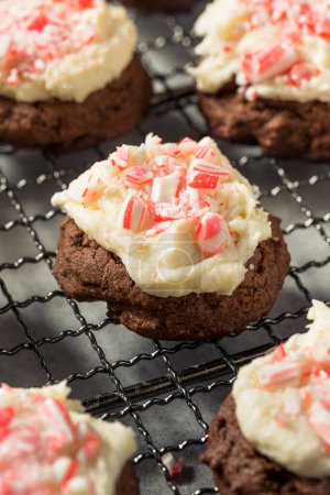 Photo for Homemade Peppermint Candycane Chocolate Cookies for Christmas - Royalty Free Image