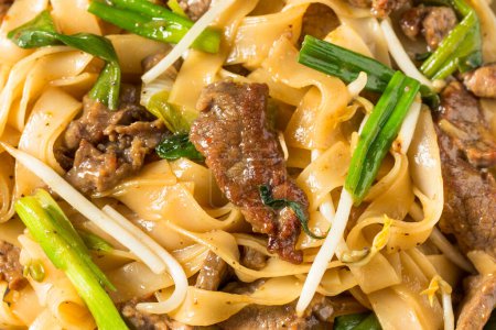 Photo for Homemade Beef Chow Fun Asian Noodles with Scallions - Royalty Free Image