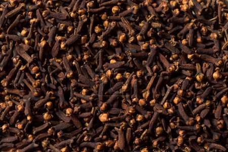 Foto de Clavo entero orgánico marrón crudo en un tazón - Imagen libre de derechos