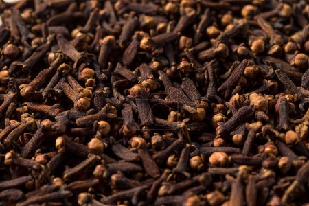 Photo for Raw Brown Organic Whole Cloves in a Bowl - Royalty Free Image