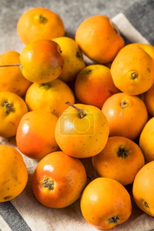 Téléchargez les photos : Pommes Tejocote bio à l'orange crue en grappe - en image libre de droit