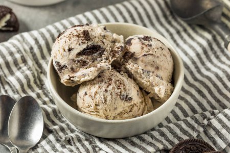 Téléchargez les photos : Homemade Cookies and Cream Icecream in a Bowl - en image libre de droit