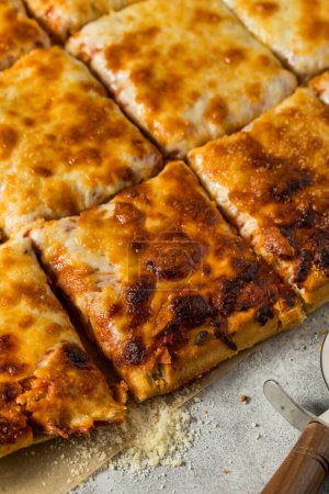 Foto de Homemade Grandma Cheese Pizza Pie with Tomato Sauce - Imagen libre de derechos