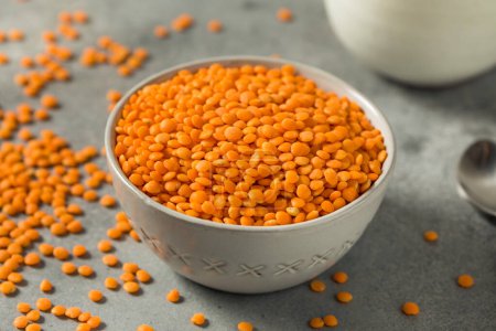 Photo for Raw Organic Red Lentils Legume in a Bowl - Royalty Free Image