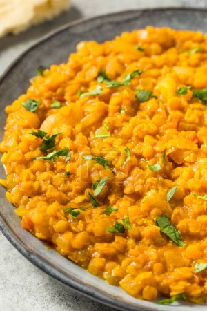 Photo for Homemade Lentil Dal with Rice and Cilantro - Royalty Free Image