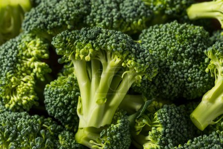 Téléchargez les photos : Raw Green Organic Broccoli Florets Ready to Cook - en image libre de droit