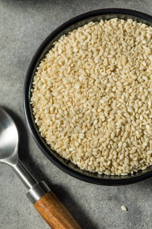 Téléchargez les photos : Homemade Organic White Sesame Seeds in a Bowl - en image libre de droit