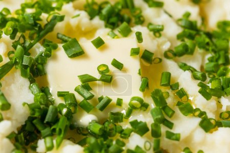 Téléchargez les photos : Homemade Chive Mashed Potatoes in a Bowl for Dinner - en image libre de droit
