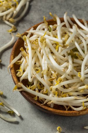 Photo for Raw White Organic Soy Bean Sprouts in a Bowl - Royalty Free Image