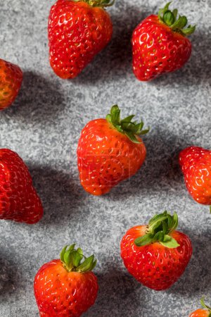 Téléchargez les photos : Raw Red Organic Sweet Strawberries in a Bowl Ready to Eat - en image libre de droit