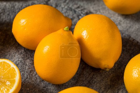 Téléchargez les photos : Homemade Organic Yellow Meyer Lemons in a Bunch - en image libre de droit