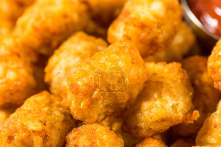 Photo for Homemade Baked Tater Tots Potatoes with Ketchup - Royalty Free Image