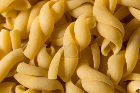 Photo for Homemade Dry Casarecce Pasta in a Bowl - Royalty Free Image