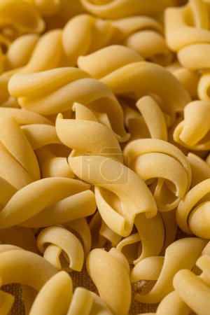 Photo for Homemade Dry Casarecce Pasta in a Bowl - Royalty Free Image