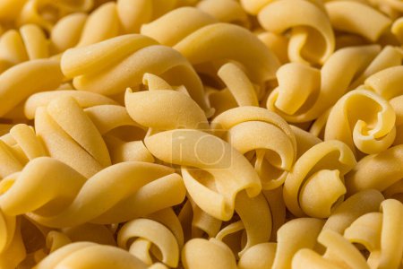 Téléchargez les photos : Homemade Dry Casarecce Pasta in a Bowl - en image libre de droit