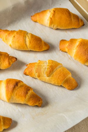 Photo for Homemade Croissant Crescent Rolls to Eat for Dinner - Royalty Free Image