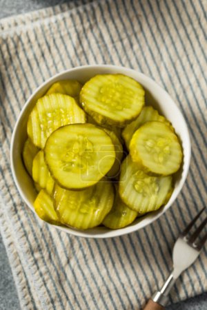 Photo for Homemade Preserved Dill PIckle Slices in a Bowl - Royalty Free Image