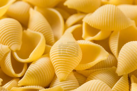 Photo for Homemade Dry Raw Conchiglie Pasta Ready to Cook - Royalty Free Image