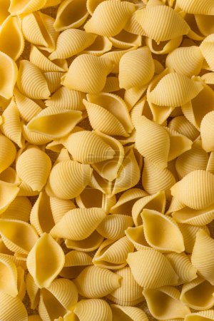 Photo for Homemade Dry Raw Conchiglie Pasta Ready to Cook - Royalty Free Image