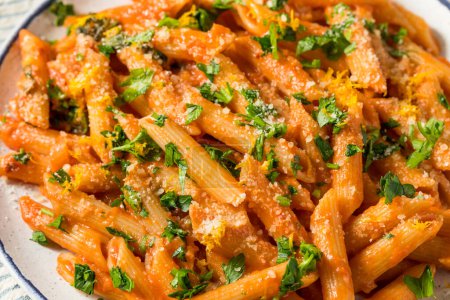 Photo for Homemade Vermouth Penne Pasta with Tomato and Cheese - Royalty Free Image