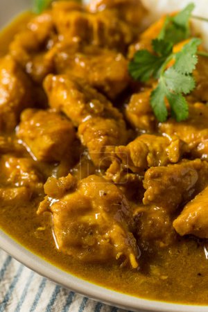 Photo for Homemade Coconut Curry Chicken with White Rice - Royalty Free Image
