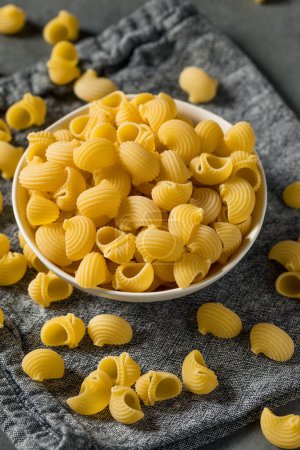 Photo for Italian Lumahce Media Pasta Shells in a Bowl - Royalty Free Image