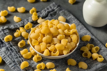 Photo for Italian Lumahce Media Pasta Shells in a Bowl - Royalty Free Image