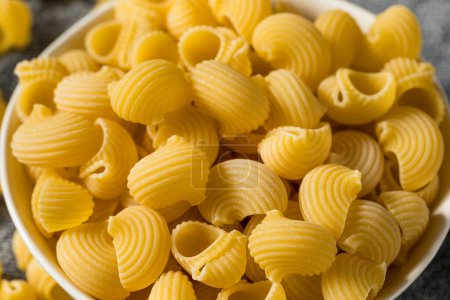 Téléchargez les photos : Italian Lumahce Media Pasta Shells in a Bowl - en image libre de droit