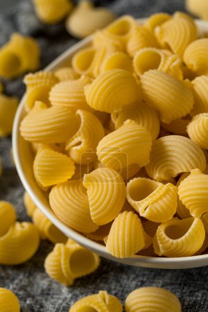 Téléchargez les photos : Lumahce Media Coquilles de pâtes italiennes dans un bol - en image libre de droit