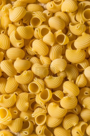 Foto de Italian Lumahce Media Pasta Shells in a Bowl - Imagen libre de derechos
