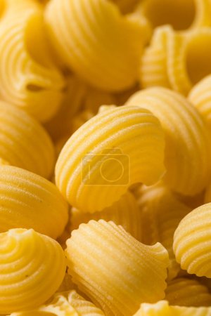 Foto de Italiano Lumahce Media Pasta conchas en un tazón - Imagen libre de derechos