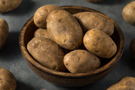 Foto de Raw Brown Organic Russet Potatoes in a Bowl - Imagen libre de derechos