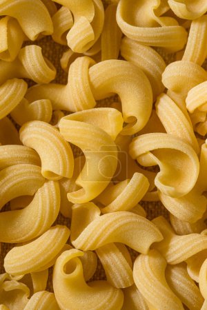Photo for Organic Dry Cavatappi Pasta in a Bowl - Royalty Free Image