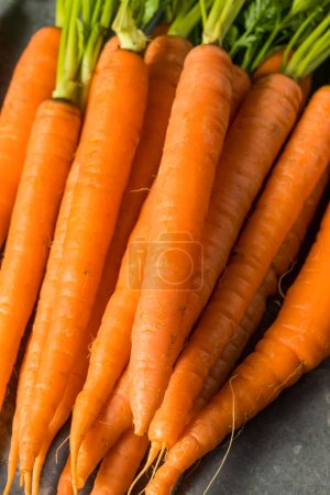 Téléchargez les photos : Carottes orange crues biologiques en grappe - en image libre de droit