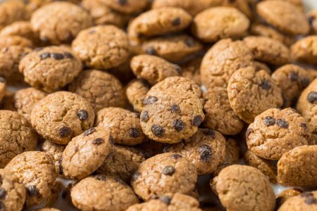 Photo for Crispy Chocolate Chip Cookie Breakfast Cereal with Milk - Royalty Free Image