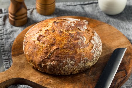 Photo for Traditional No Knead Peasant Bread Ready to Eat - Royalty Free Image