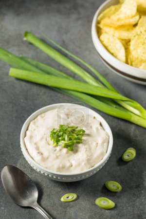 Photo for Homemade Sour Cream and Onion Dip in a Bowl - Royalty Free Image