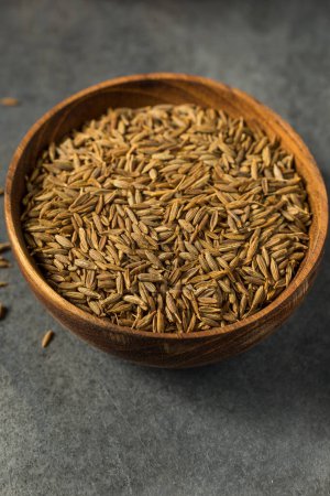 Photo for Dry Organic Raw Cumin Seeds in a Bowl - Royalty Free Image