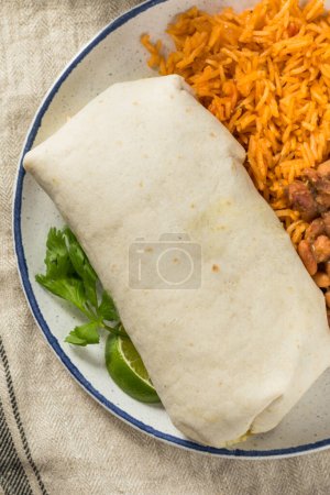 Foto de Burrito casero mexicano de filete con queso y guacamole y salsa - Imagen libre de derechos