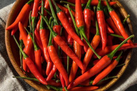 Photo for Spicy Organic Red Thai Birds Eye Chilli Peppers in a Bowl - Royalty Free Image