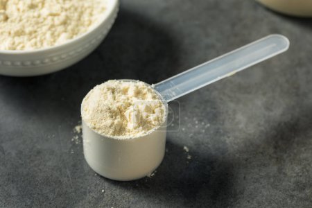 Téléchargez les photos : Poudre de protéines de lactosérum vanille saine biologique dans une cuillère - en image libre de droit