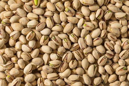 Photo for Salted and Roasted Pistachios in a Bowl - Royalty Free Image