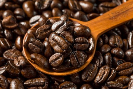 Téléchargez les photos : Grains de café expresso torréfiés bio dans un bol - en image libre de droit
