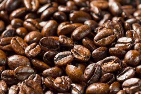 Téléchargez les photos : Grains de café expresso torréfiés bio dans un bol - en image libre de droit