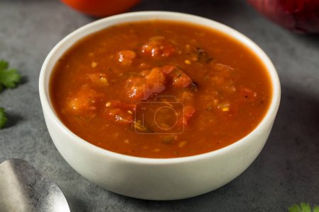 Téléchargez les photos : Salsa mexicaine aux tomates rouges maison avec coriandre - en image libre de droit